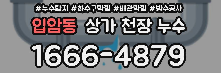 입암동 상가 천장 누수