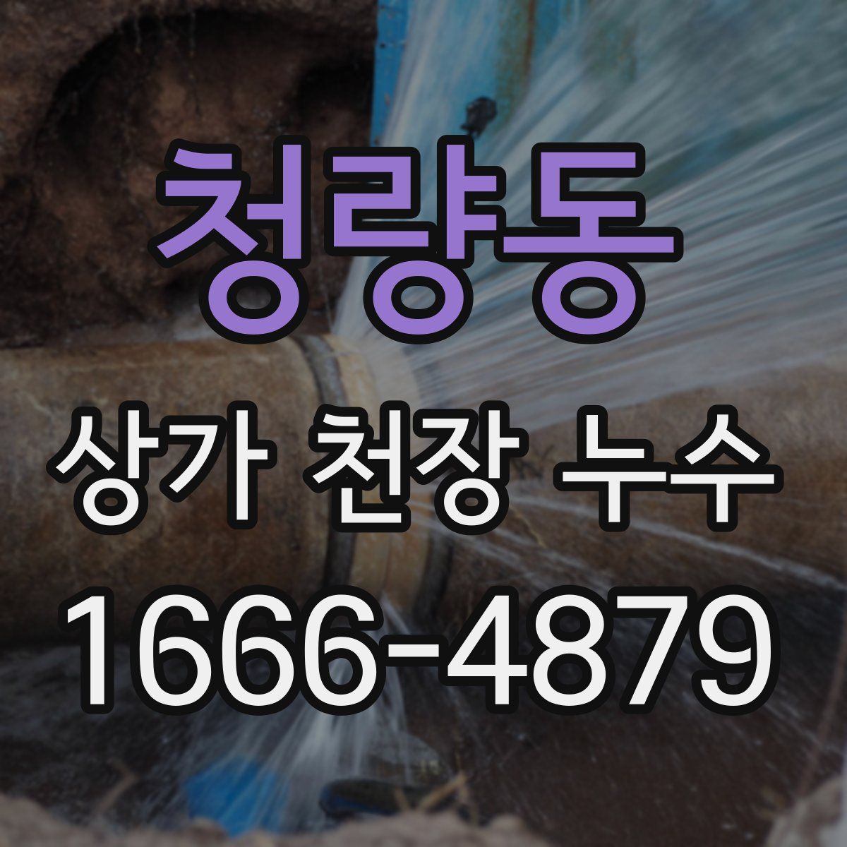 청량동 상가 천장 누수