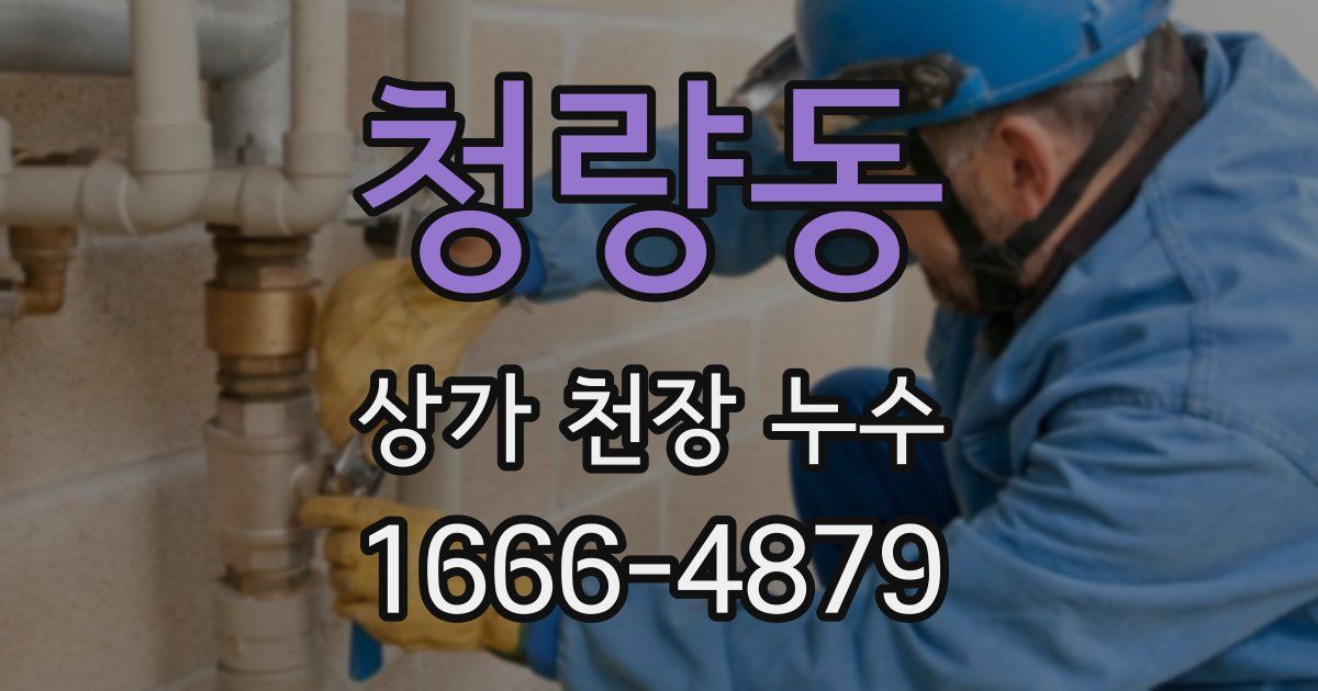 청량동 상가 천장 누수