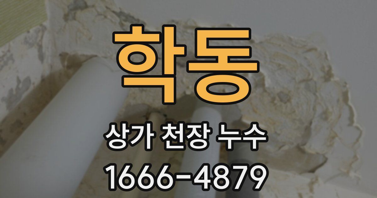학동 상가 천장 누수