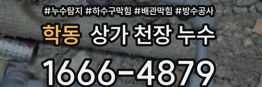 학동 상가 천장 누수