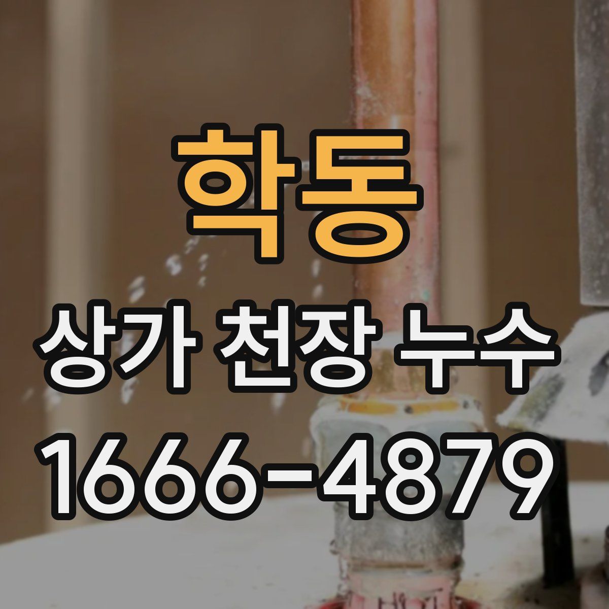 학동 상가 천장 누수