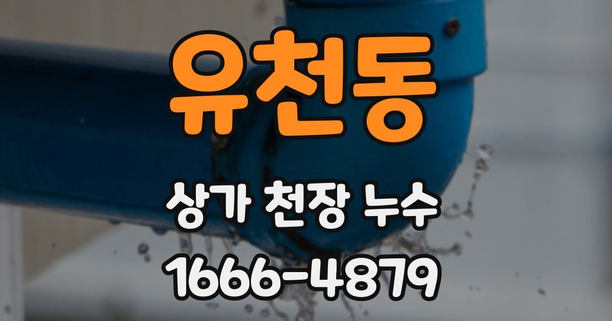 유천동 상가 천장 누수