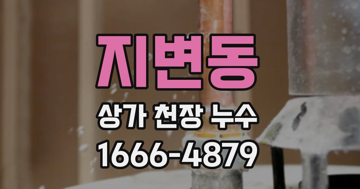 지변동 상가 천장 누수