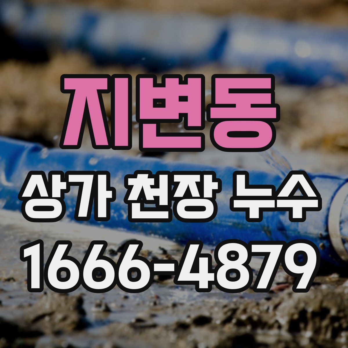 지변동 상가 천장 누수