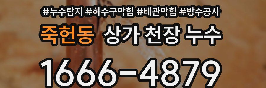 죽헌동 상가 천장 누수