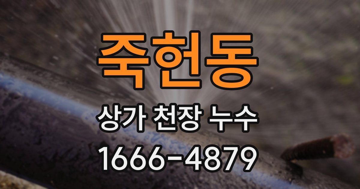 죽헌동 상가 천장 누수