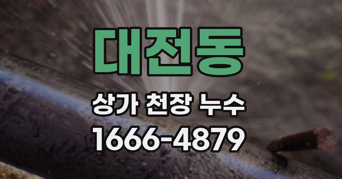 대전동 상가 천장 누수