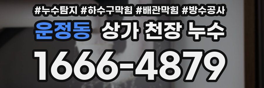 운정동 상가 천장 누수