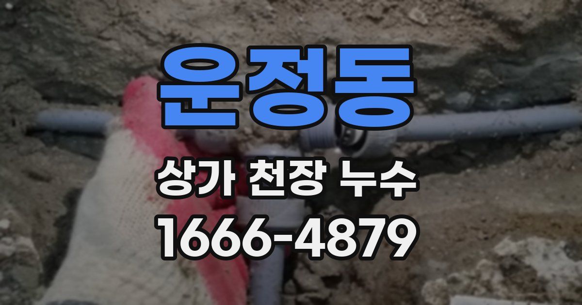 운정동 상가 천장 누수