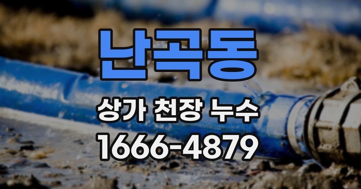 난곡동 상가 천장 누수
