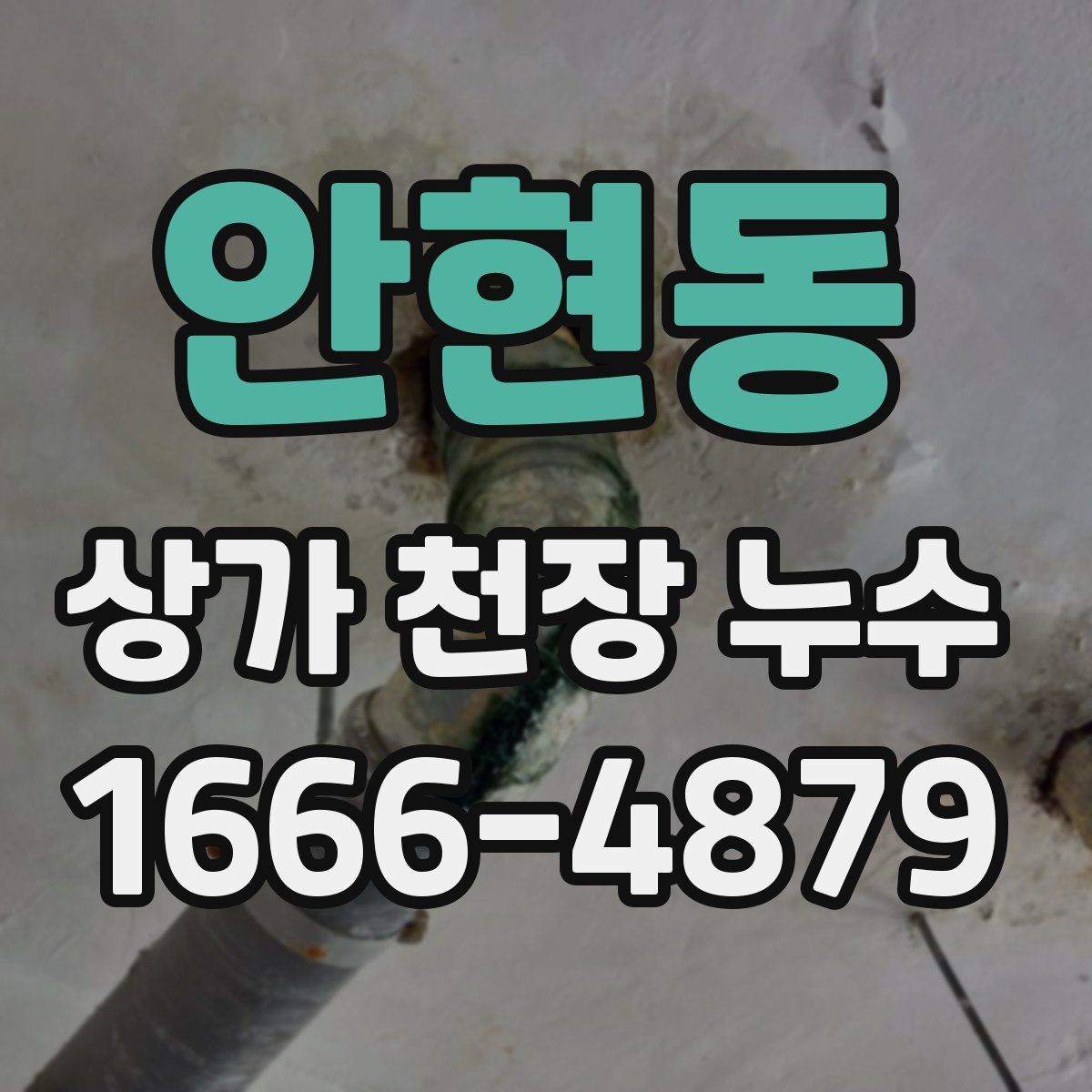 안현동 상가 천장 누수