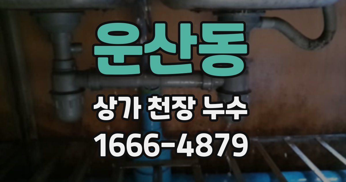 운산동 상가 천장 누수