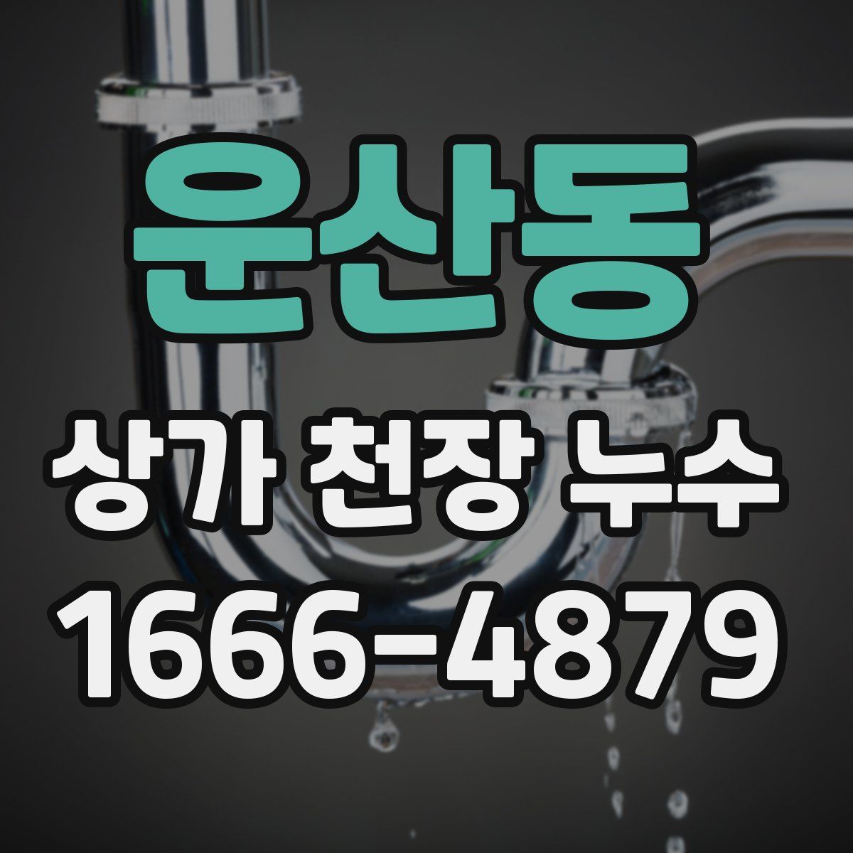 운산동 상가 천장 누수