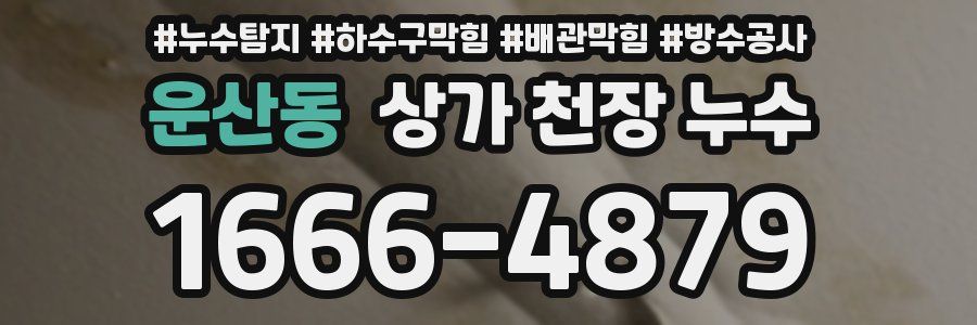 운산동 상가 천장 누수