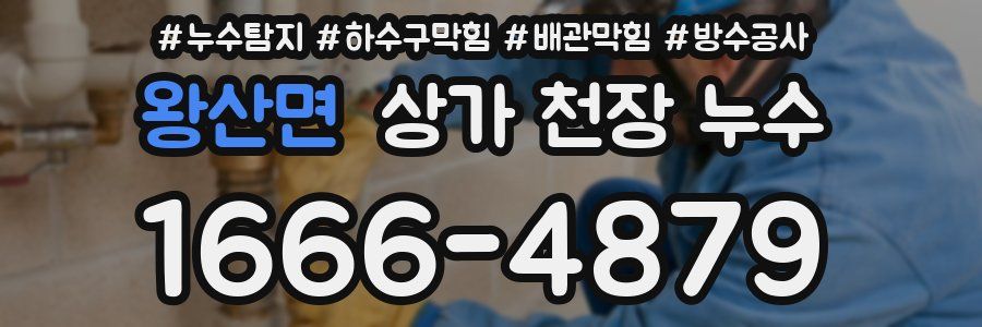 왕산면 상가 천장 누수