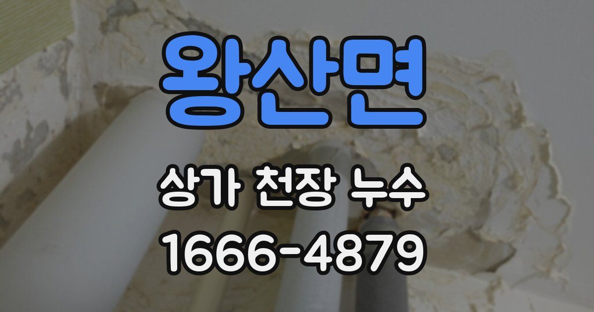 왕산면 상가 천장 누수