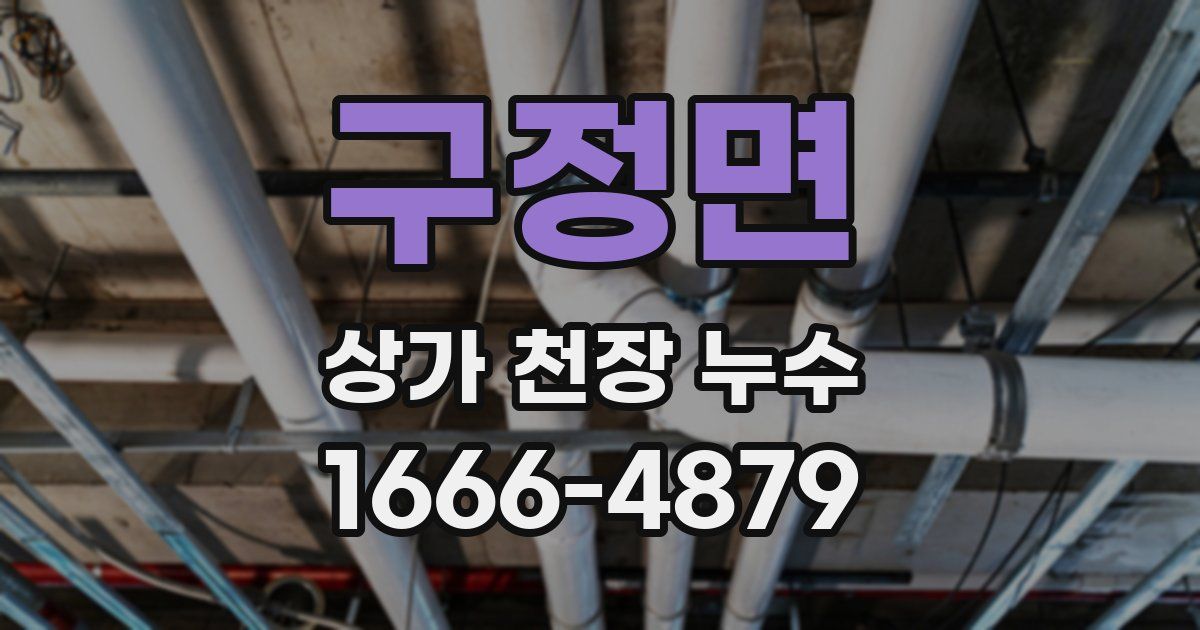 구정면 상가 천장 누수