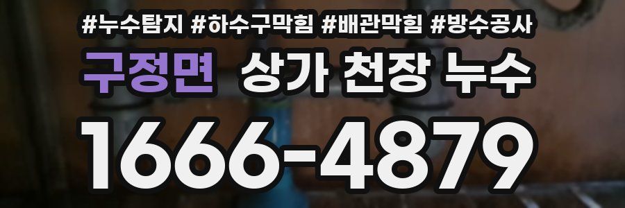 구정면 상가 천장 누수