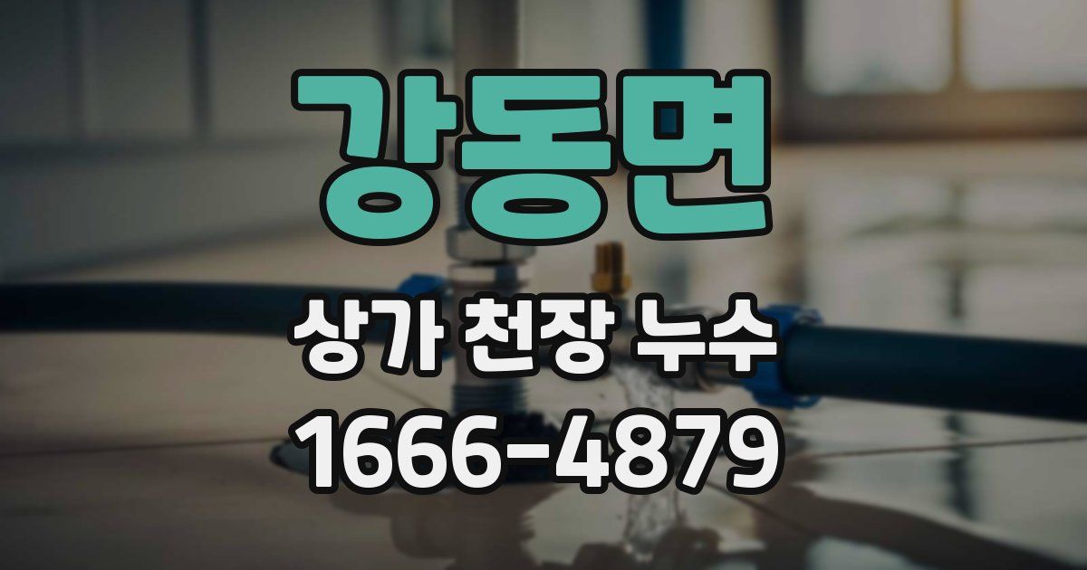 강동면 상가 천장 누수