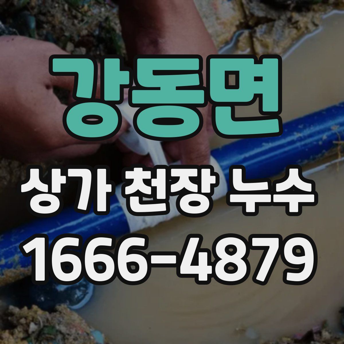 강동면 상가 천장 누수