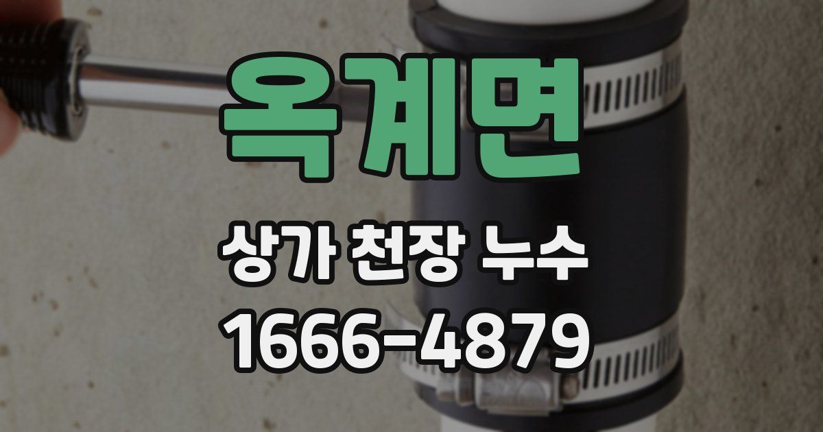 옥계면 상가 천장 누수