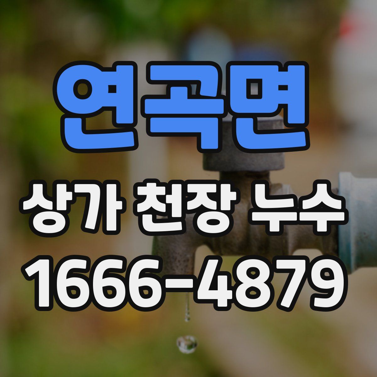 연곡면 상가 천장 누수