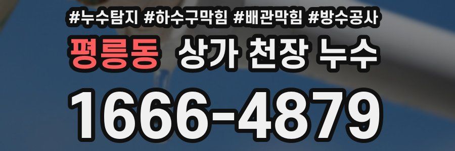 평릉동 상가 천장 누수
