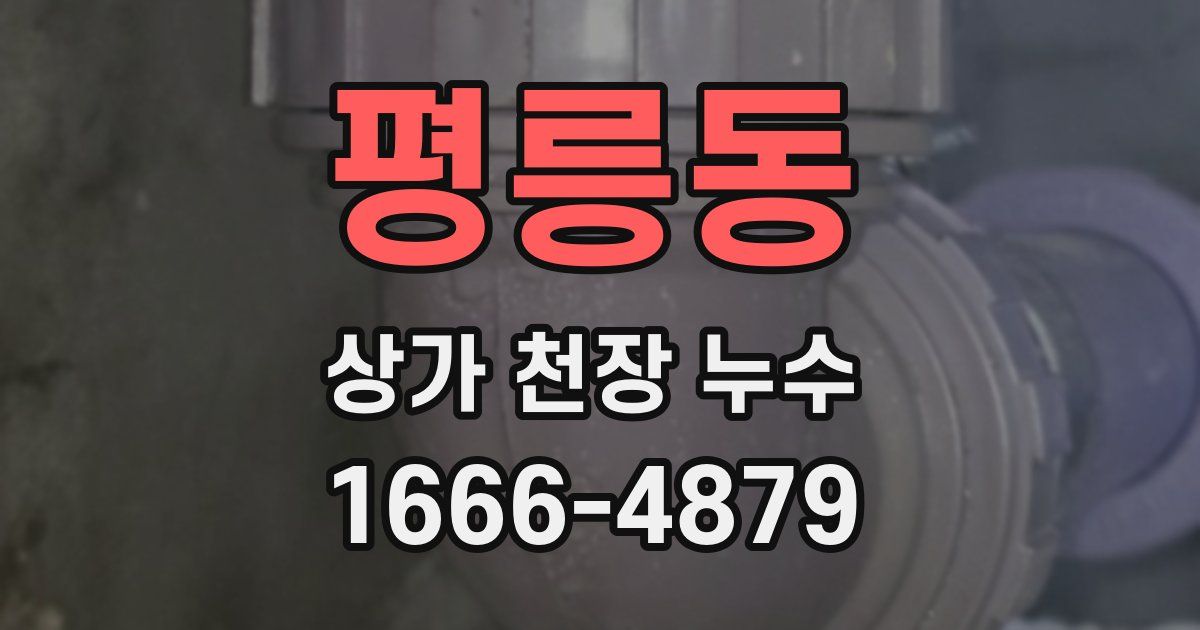평릉동 상가 천장 누수