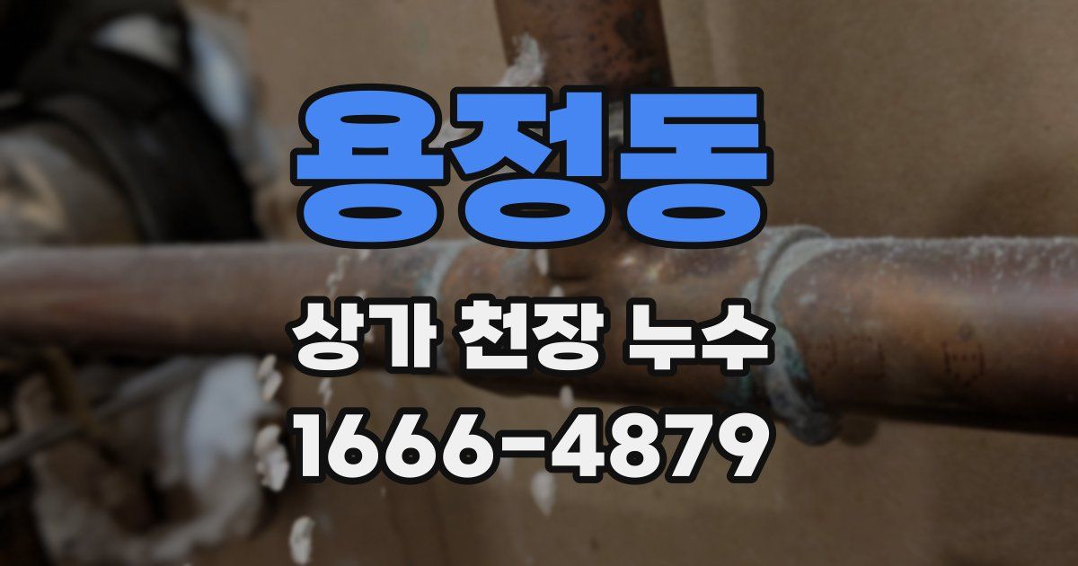 용정동 상가 천장 누수