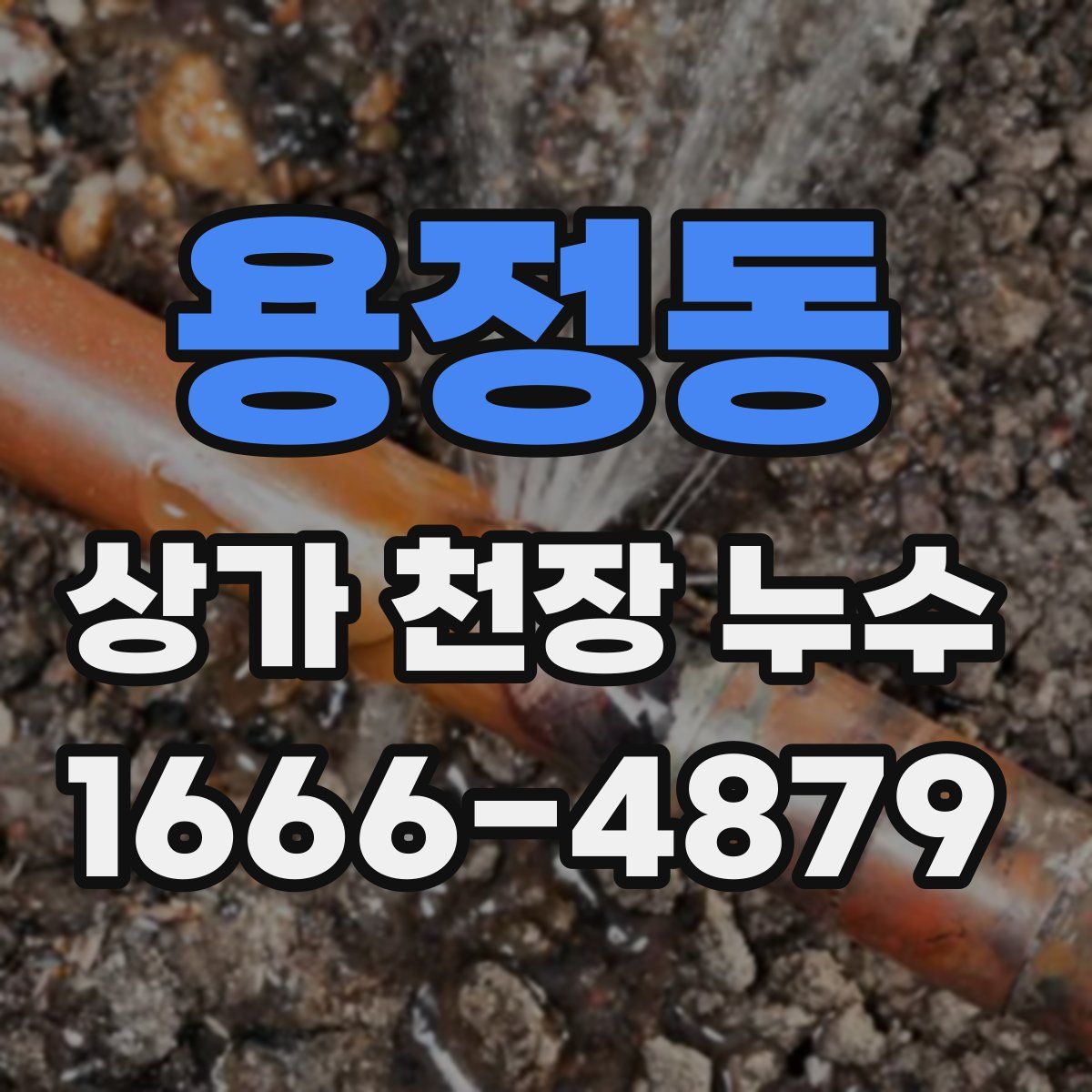 용정동 상가 천장 누수