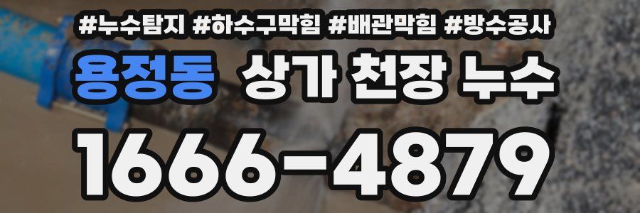 용정동 상가 천장 누수
