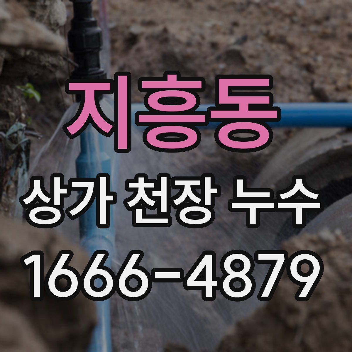 지흥동 상가 천장 누수