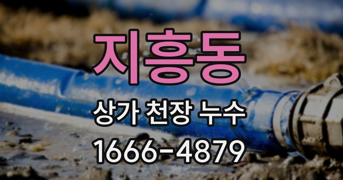 지흥동 상가 천장 누수