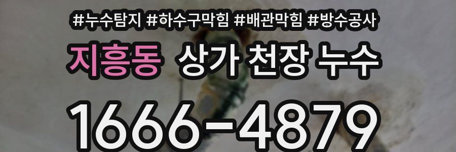 지흥동 상가 천장 누수