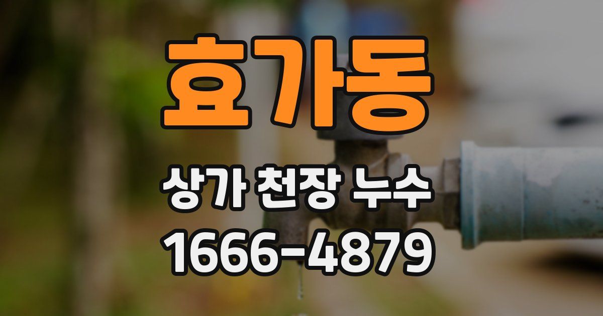 효가동 상가 천장 누수