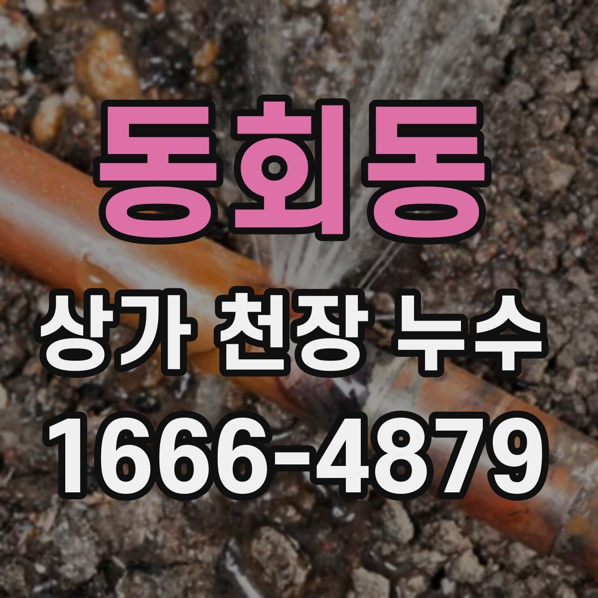 동회동 상가 천장 누수