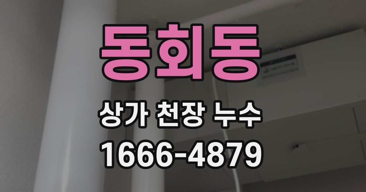 동회동 상가 천장 누수