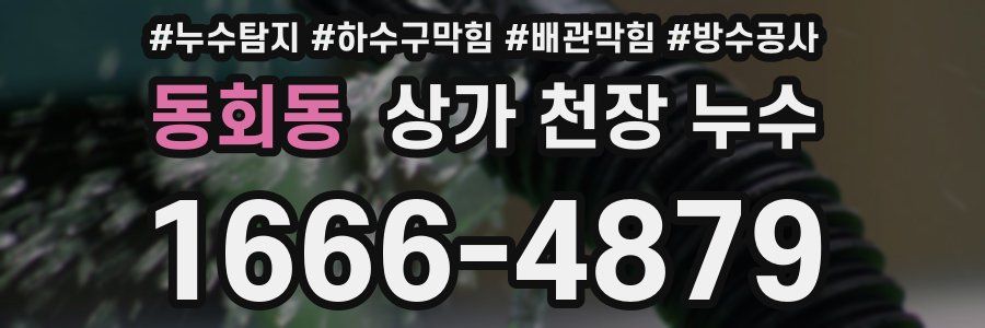 동회동 상가 천장 누수