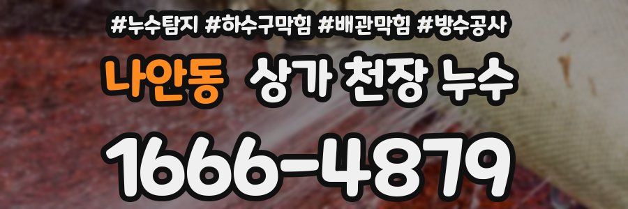 나안동 상가 천장 누수