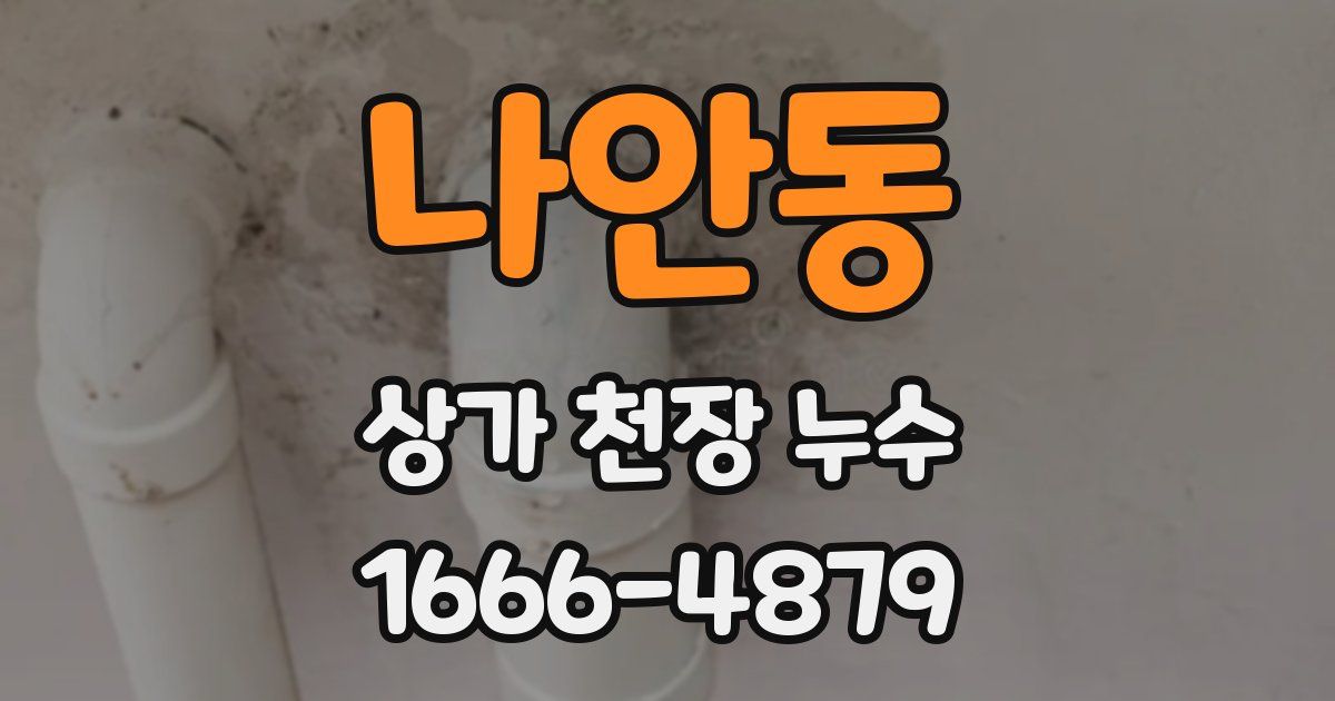 나안동 상가 천장 누수