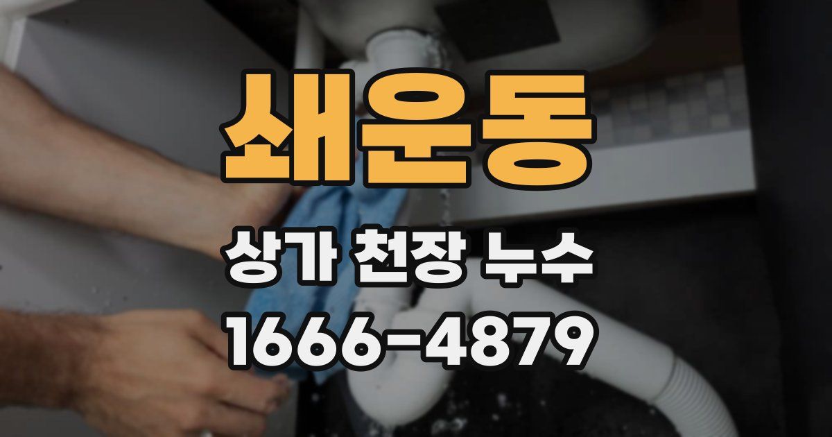 쇄운동 상가 천장 누수