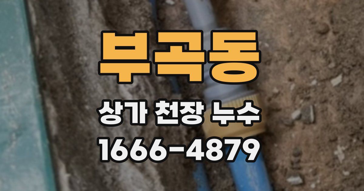 부곡동 상가 천장 누수