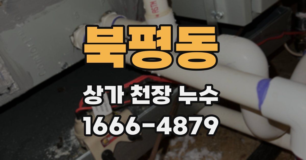 북평동 상가 천장 누수