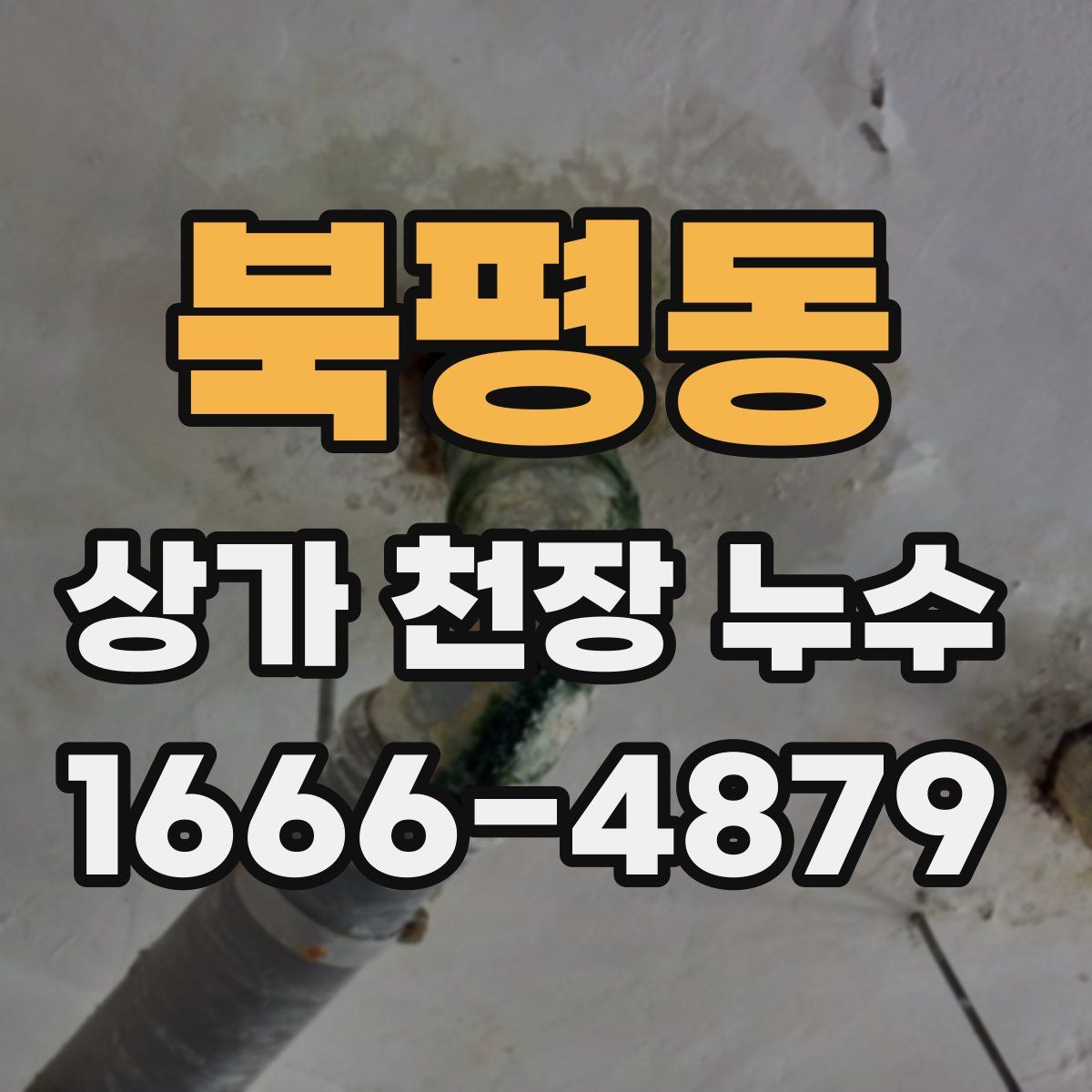 북평동 상가 천장 누수