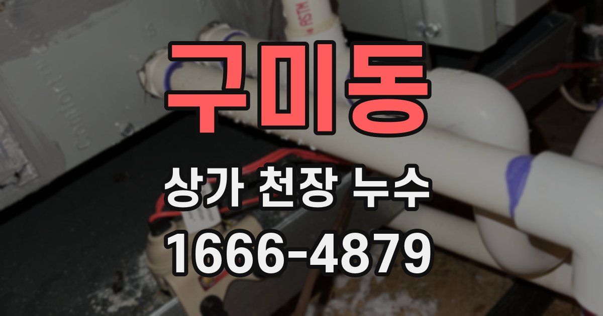 구미동 상가 천장 누수