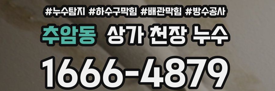 추암동 상가 천장 누수