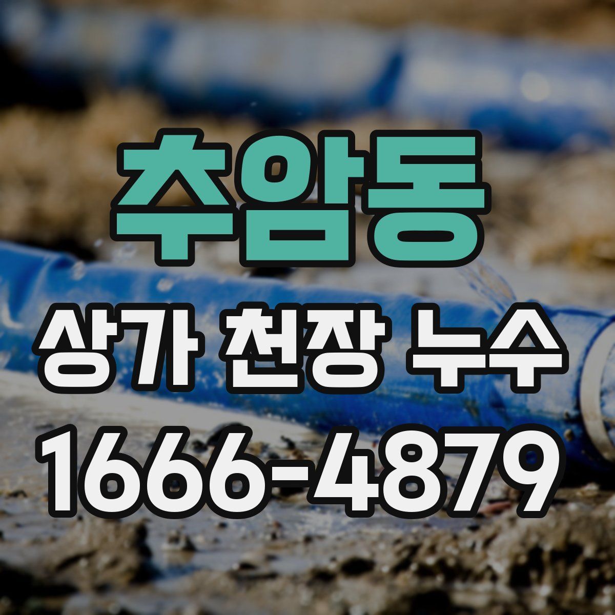 추암동 상가 천장 누수
