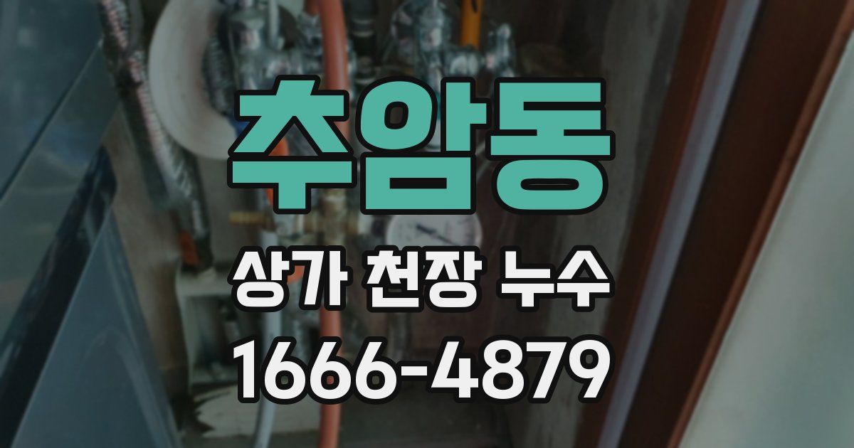 추암동 상가 천장 누수