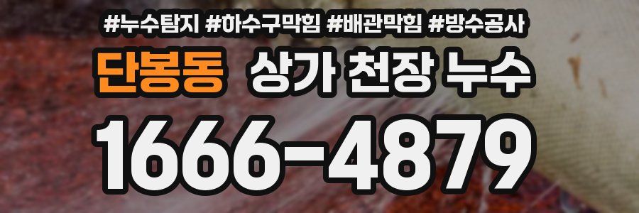 단봉동 상가 천장 누수